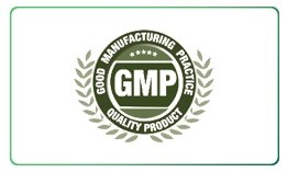 GMP